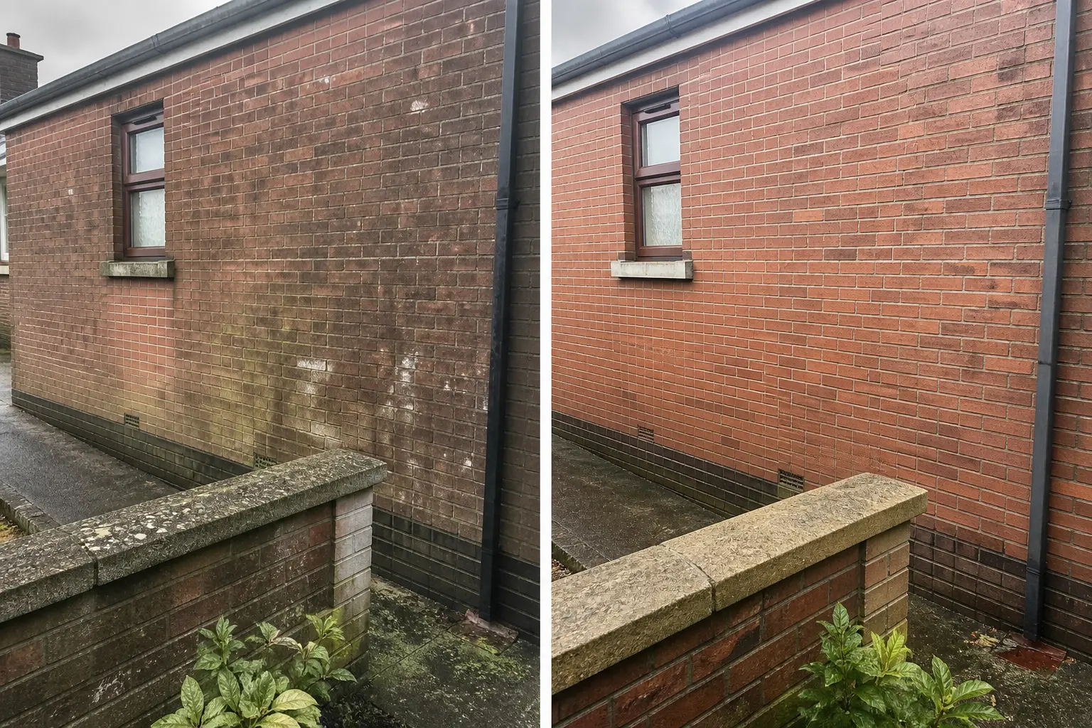 Before and after exterior wall cleaning in Dublin: red brick wall darkened with algae on the left, clean brickwork on the right