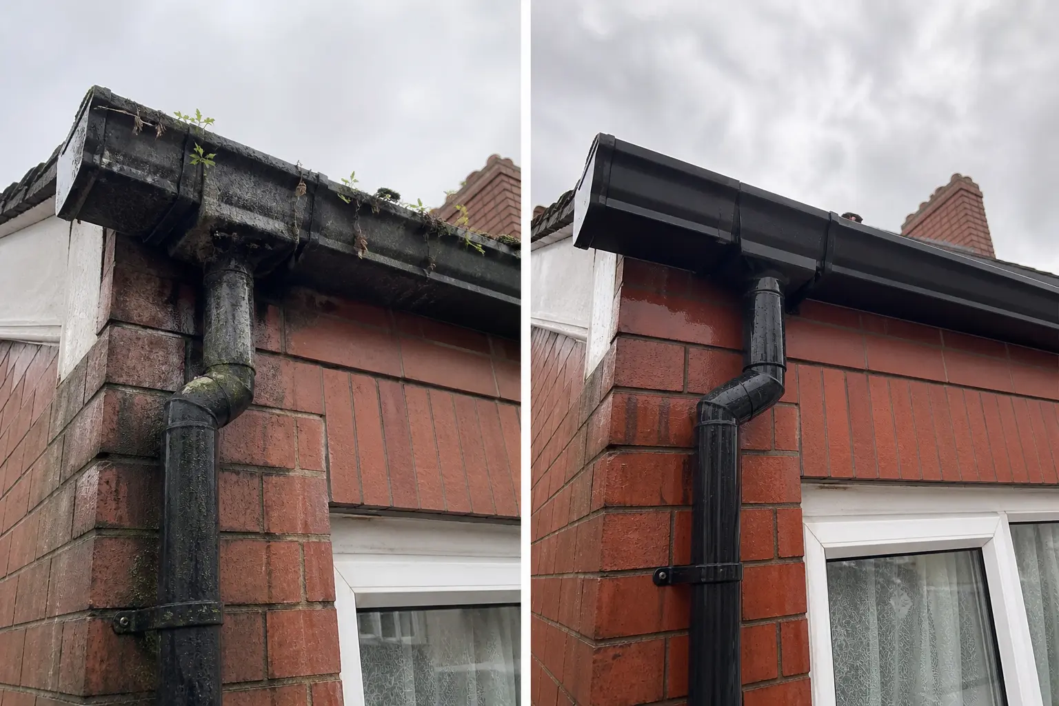 Before and after gutter cleaning in Dublin: gutter and downpipe with weeds and algae on the left, clean black guttering on the right