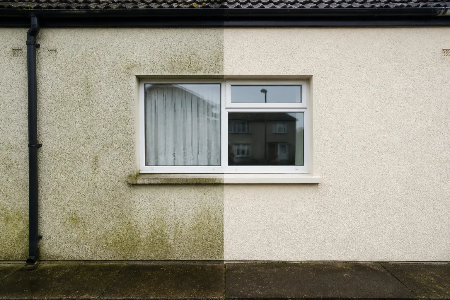 Soft washing algae from a rendered exterior house wall
